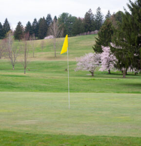 Six West Virginia golfers receive academic honors